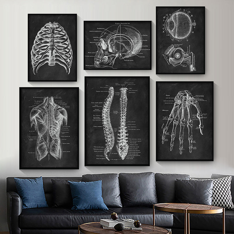 Anatomy Canvas