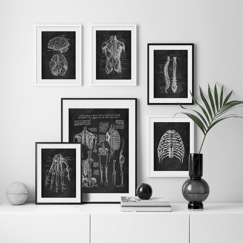Anatomy Canvas