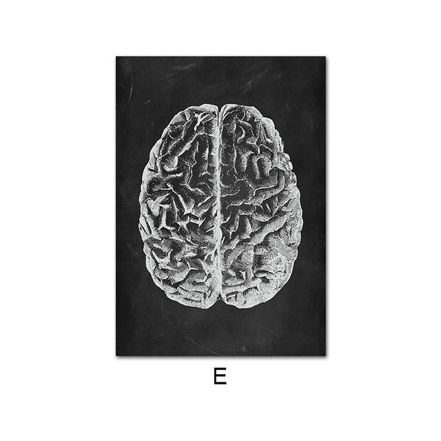 Anatomy Canvas