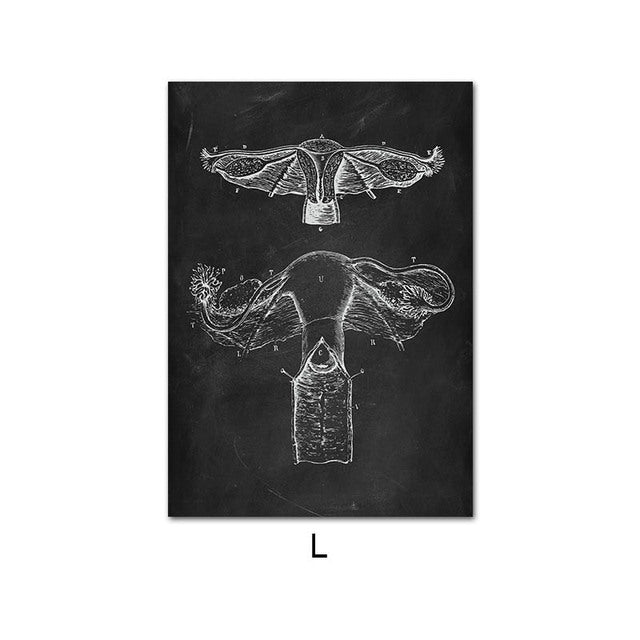 Anatomy Canvas