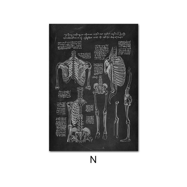 Anatomy Canvas
