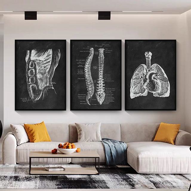 Anatomy Canvas