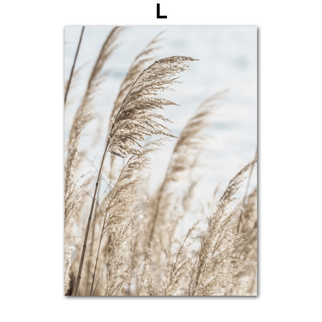 Pampa Beach Canvas