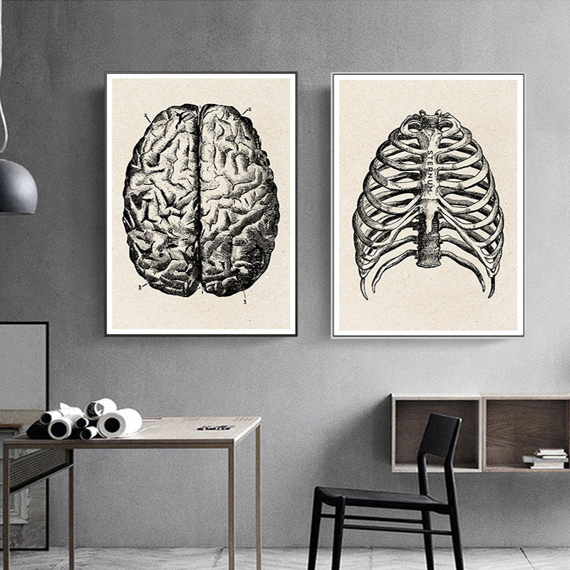 Anatomy Canvas White